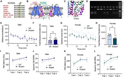 Behavioral and neuro-functional consequences of eliminating the KCNQ3 GABA binding site in mice